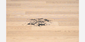 가성비무선청소기추천