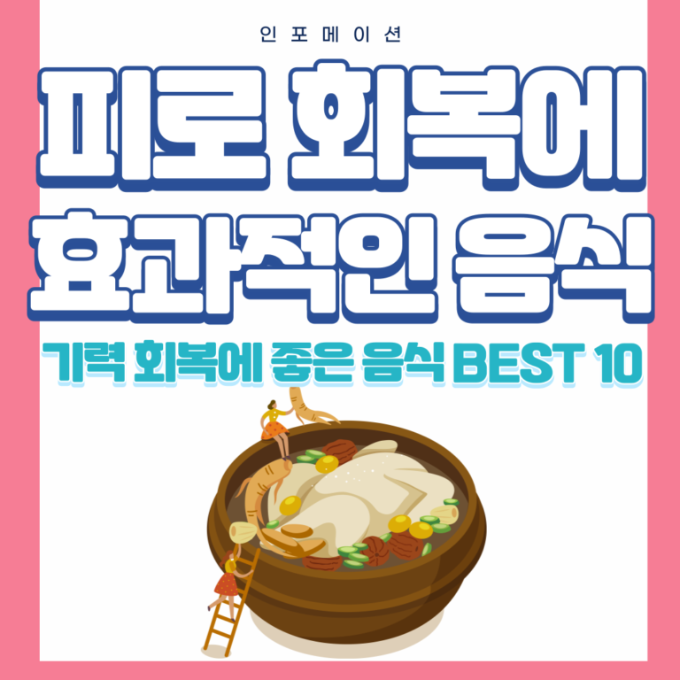 기력 회복에 좋은 음식