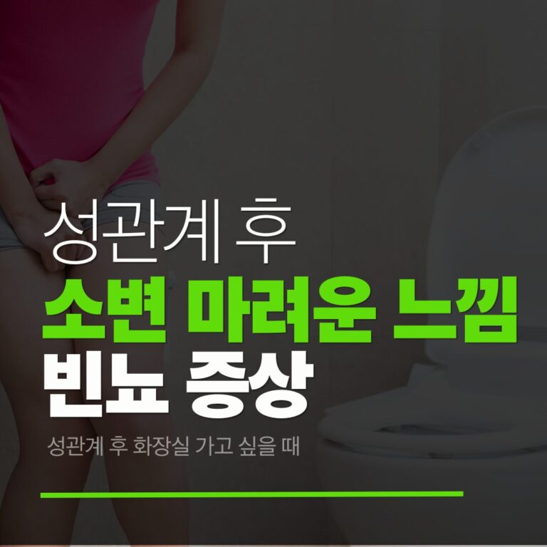 성관계후소변마려운느낌