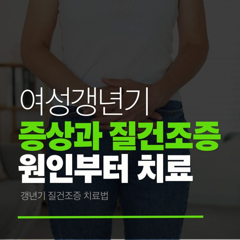 여성갱년기 질건조증
