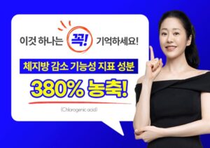 고현정 체중감량 비결