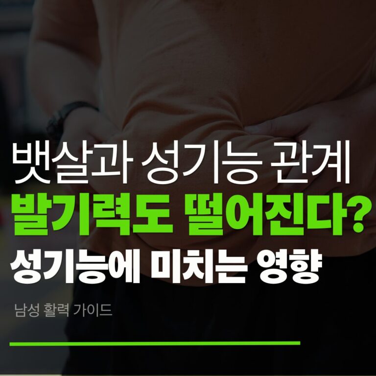 남성 발기력